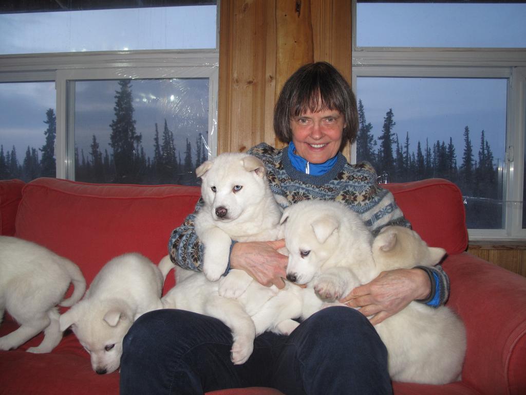 Arctic Chalet Resort Inuvik Buitenkant foto