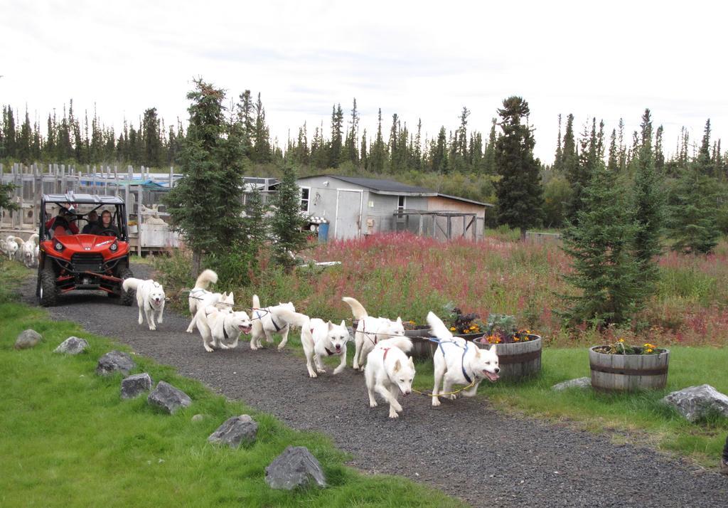 Arctic Chalet Resort Inuvik Buitenkant foto